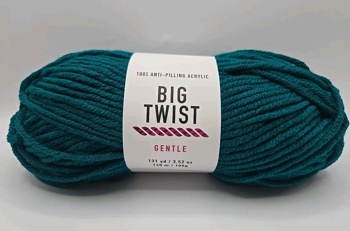 Big Twist Gentle Yarn skein showing soft bulky texture
